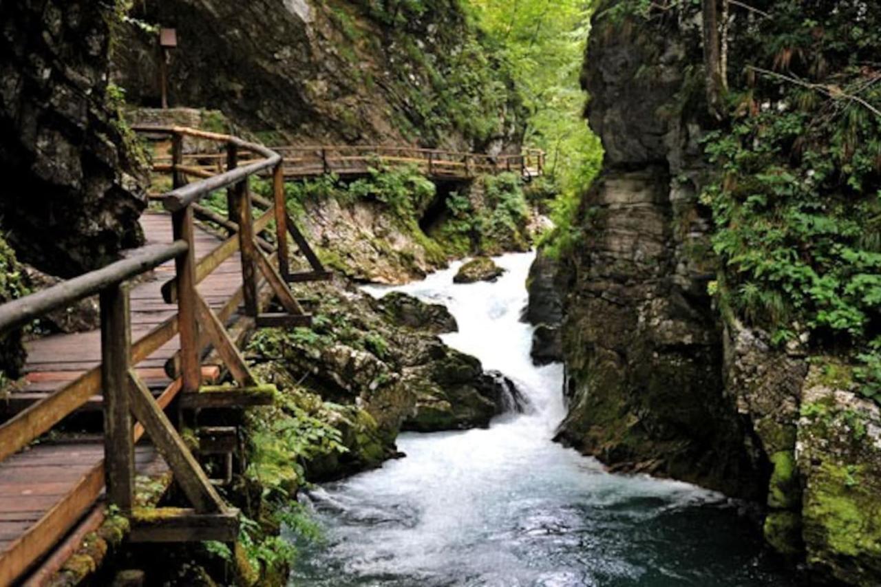 Guesthouse Schoba Typ D Kirchbach  외부 사진